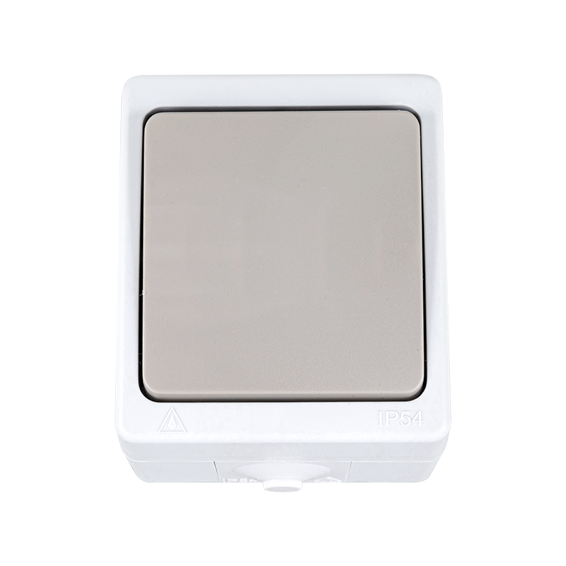 528001 Interruptor simple estanco con color de gris/blanco